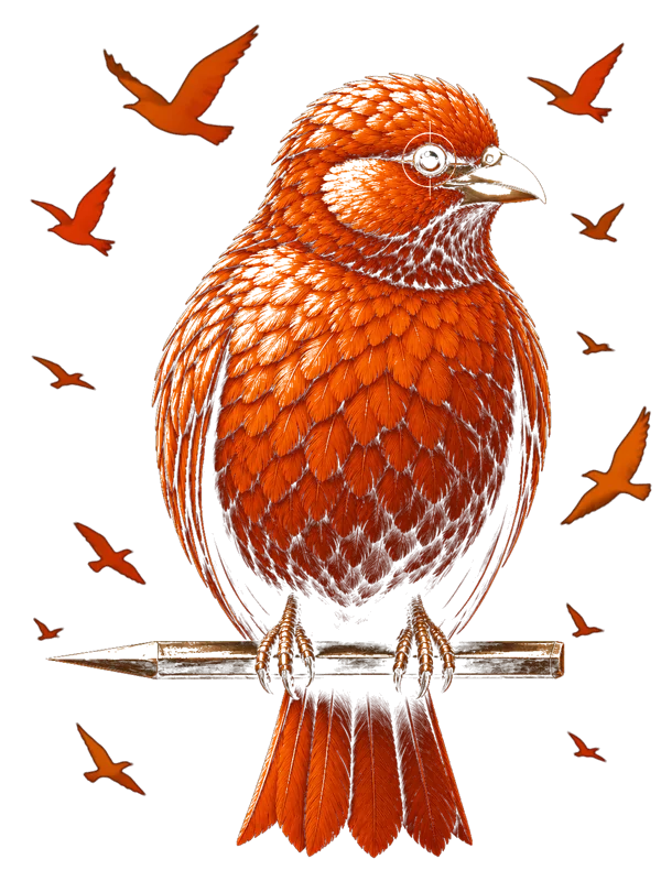 An engraving of a red-orange palmchat perched on a pencil, circled by a small flock in flight.